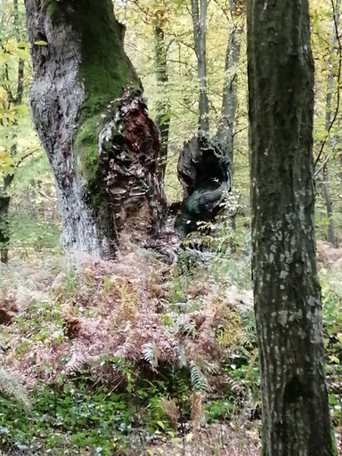 Others 2, Ma Gentilhommiere, Oise