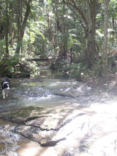 Others 5, Stay @ LP Montville, Caloundra - Hinterland