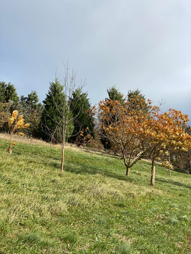Others 2, Finca Portizuelo, Asturias