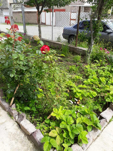 Others 3, Green Dilijan B&B