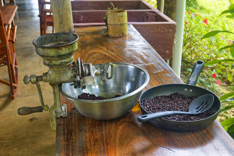 Food and beverages 2, Finca Amistad Cacao Lodge, Upala