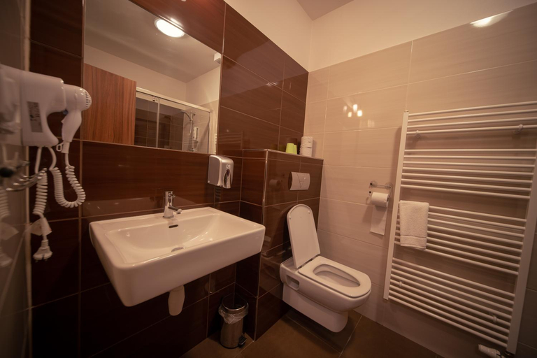 Bathroom 3, Penzion u Blahu, Olomouc