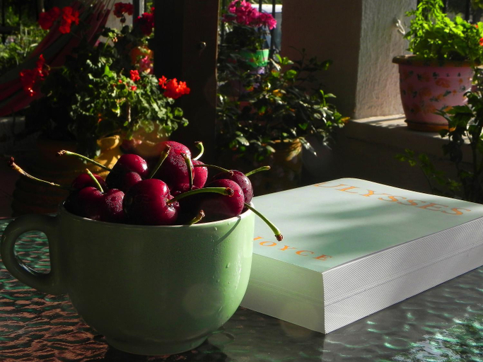 Food & Drinks 5, Ulysses Hotel, Peloponnese