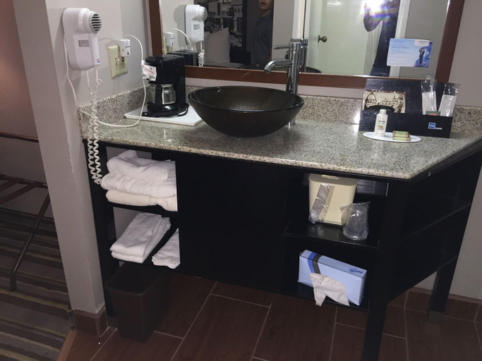 Bathroom 4, Delavan Inn and Suites, Walworth
