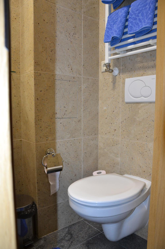 Bathroom 3, Penzion Aurooms, Praha - západ