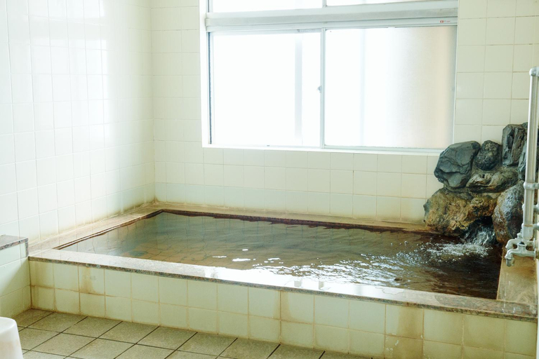 Bathroom 2, メイプルハイム, Iiyama
