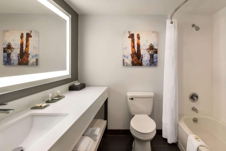 Bathroom 4, La Quinta Inn & Suites Dothan, Houston
