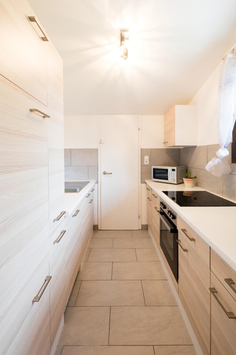 Others 4, W & S Executive Apartments - Hallstatt I, Gmunden