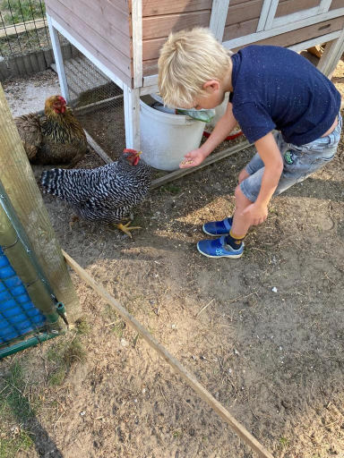 5, Camping het Swinnenbos, Vlaams Brabant