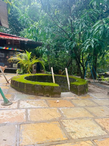 Others 3, Rajgad Farms & Agritourism, Pune