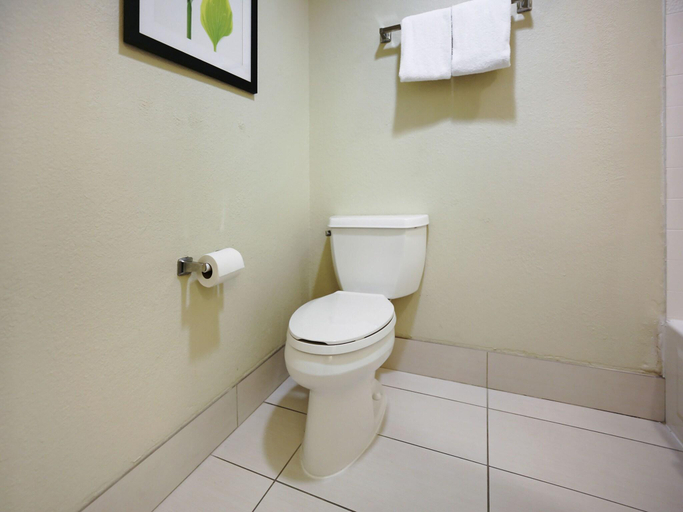 Bathroom 5, Quality Inn & Suites Jackson, Hinds