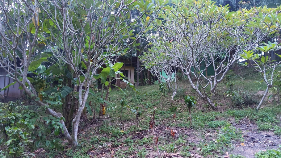 Others 2, Wilai Villa Lamai, Ko Samui
