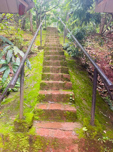 Others 5, Rajgad Farms & Agritourism, Pune