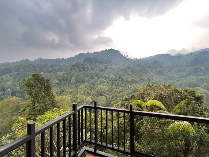 Scenery 11
