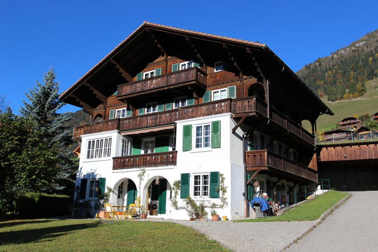Arnica 2, Pays-d'Enhaut