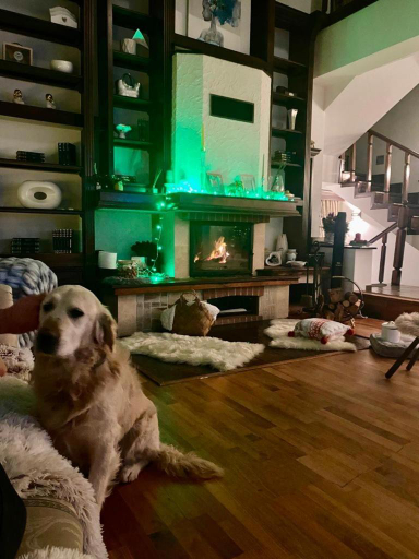 Others 4, Casa din Deal, Rosia