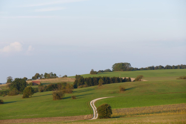 Others 4, Gastezimmer Schanz-Hilbel, Zollernalbkreis