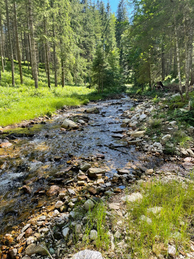 Others 3, Berghaus Gesause Pension, Liezen