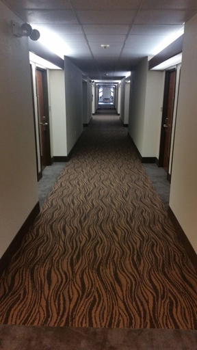 Public Area 2, Quality Inn & Suites Thomasville-High Point, Davidson