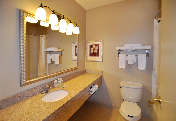 Bathroom 5, Country Inn & Suites by Radisson, Conway, AR, Faulkner