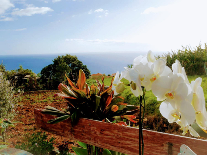 Others 5, Casas Serenas, Calheta