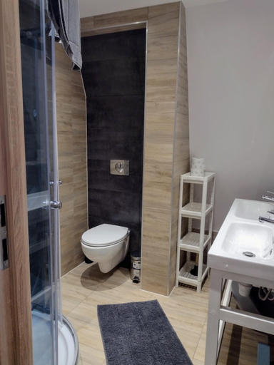 Bathroom 3, Villa Solina, Lesko