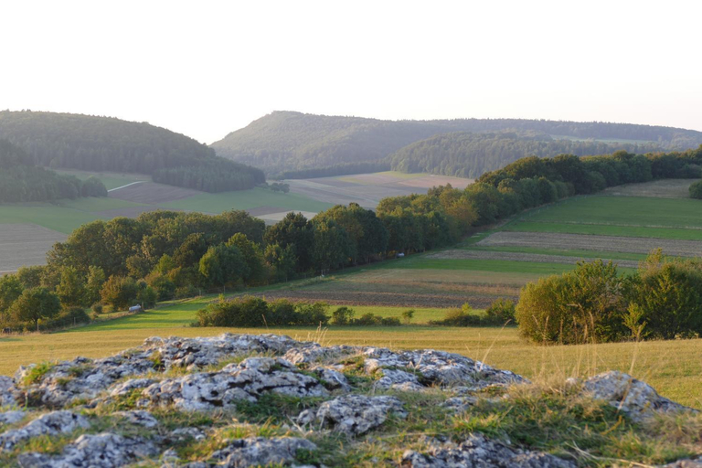Others 3, Gastezimmer Schanz-Hilbel, Zollernalbkreis