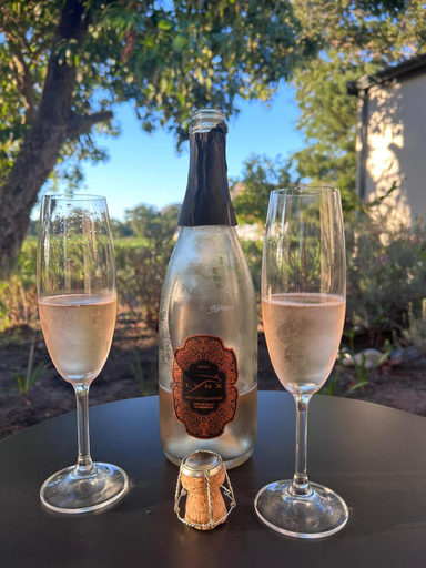 Food & Drinks 5, Lynx Wine Estate, Cape Winelands
