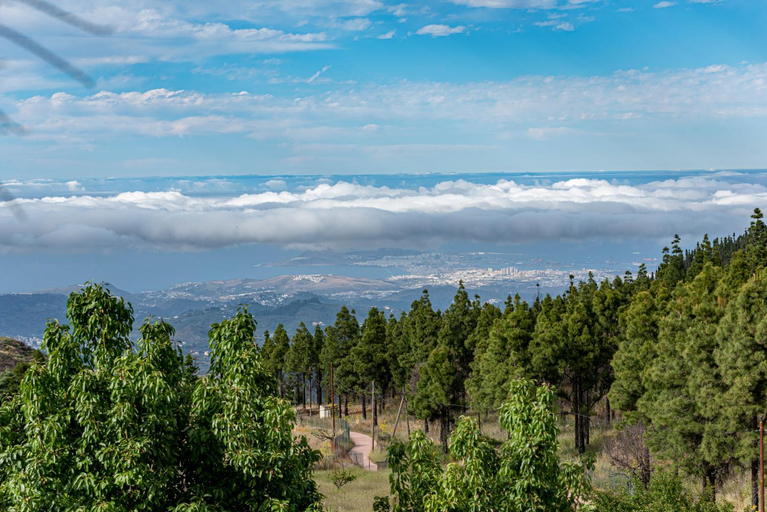 Others 3, Roque nublo rural houses I, Las Palmas