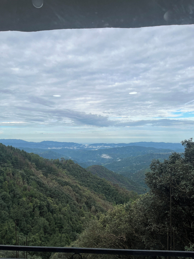 Others 5, Amor Haven & Dine, Shimla