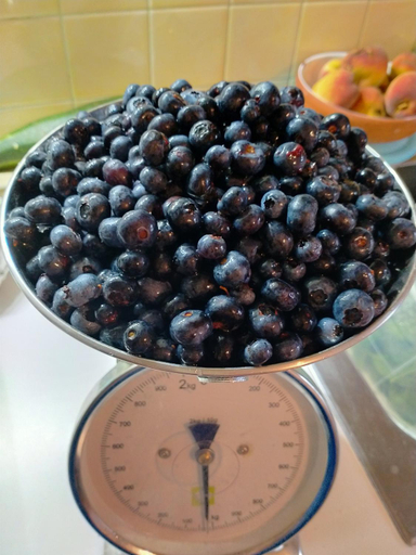 Food & Drinks 5, Antico Melo B&B, Belluno