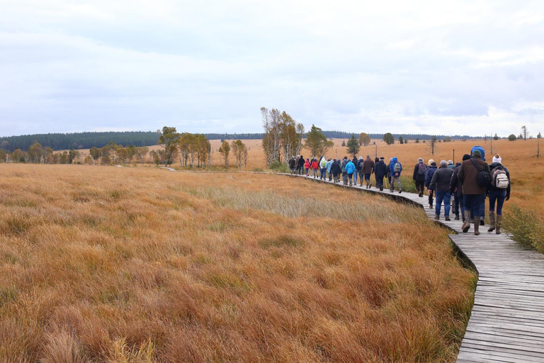 Others 5, Le Brocard des Fagnes - 15 pers Malmedy, Liège