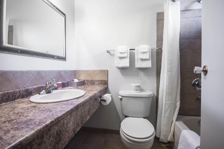 Bathroom 4, Econo Lodge Vernon Area, North Okanagan