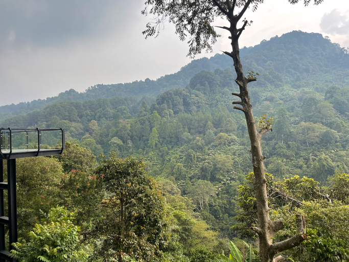 Scenery 12