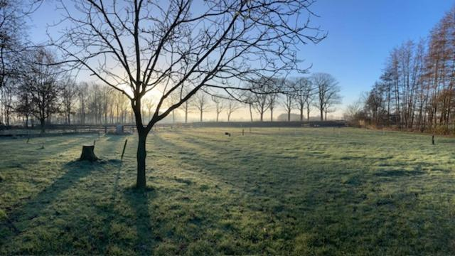 Others 3, Hoeve de Snippert, Eibergen