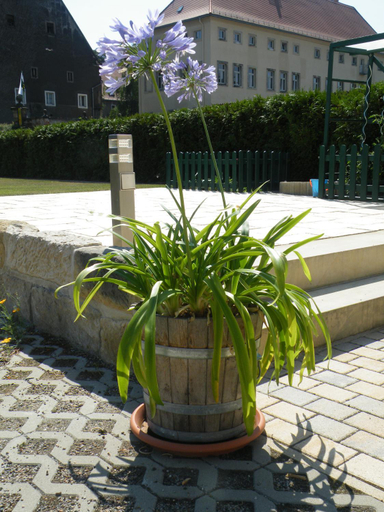 Kaitzbach-Idylle, Dresden