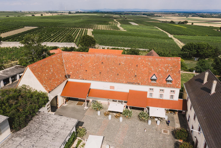 Gastehaus Schloss Janson, Bad Dürkheim