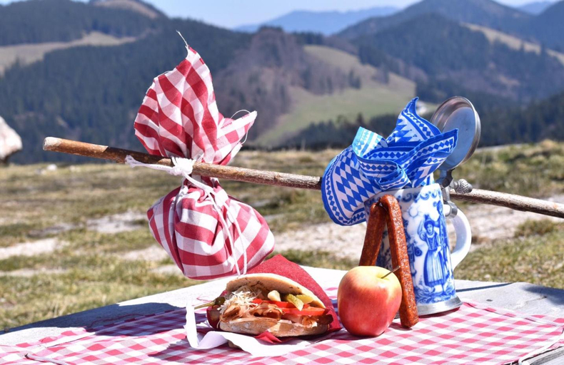 Food & Drinks, Brundling-Alm Berggasthof auf 1167m auf dem Hochfelln, Traunstein