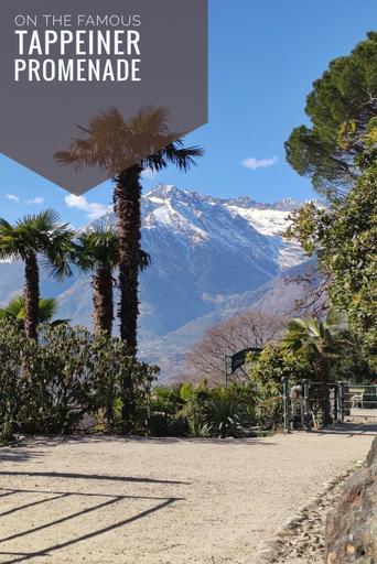 3, LA LIBELLA - slow living Suites, Bolzano