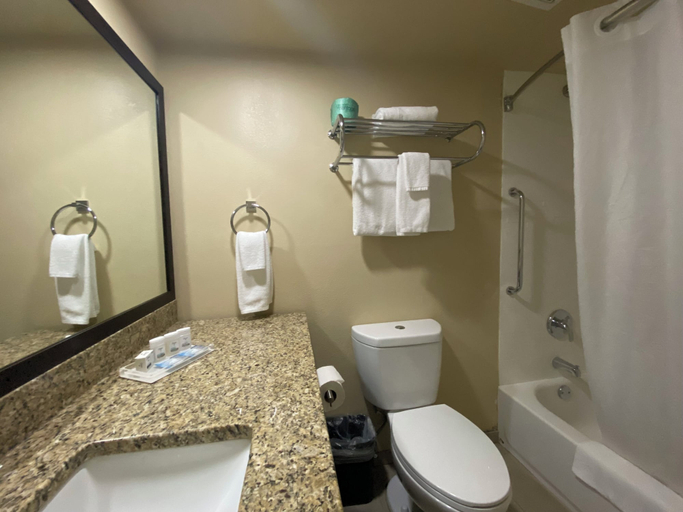 Bathroom 4, Pagosa Lodge, Archuleta
