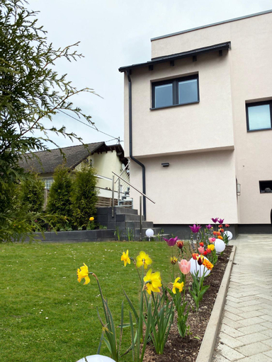 Sonnenlay Lounge - Studio & Ferienhaus, Bernkastel-Wittlich