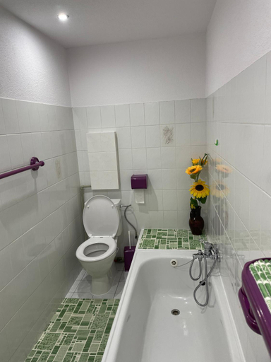 Others 5, Pension Svycarsky dum Spindleruv Mlyn, Trutnov