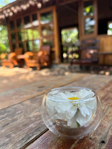 Food & Drinks 5, Mộc An Nhiên Farmstay, Đắk Đoa