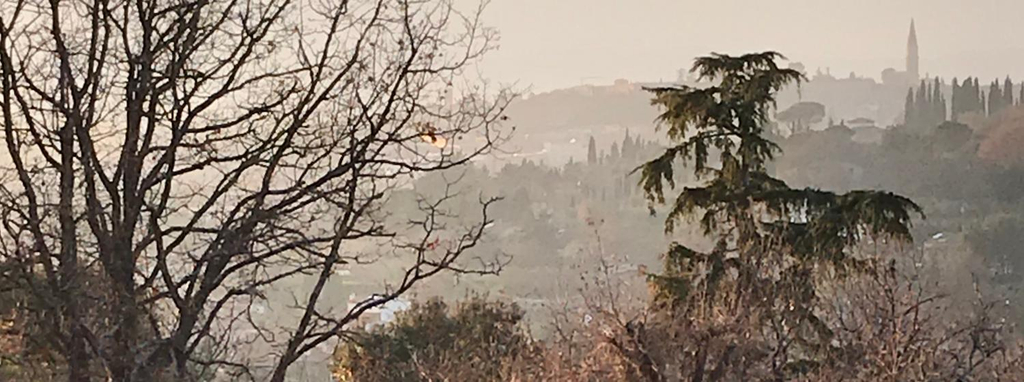 View 4, La Ghirlanda B&B, Arezzo