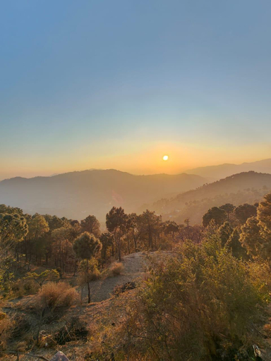 Others 4, LEELA The Flavors of Nature, Solan
