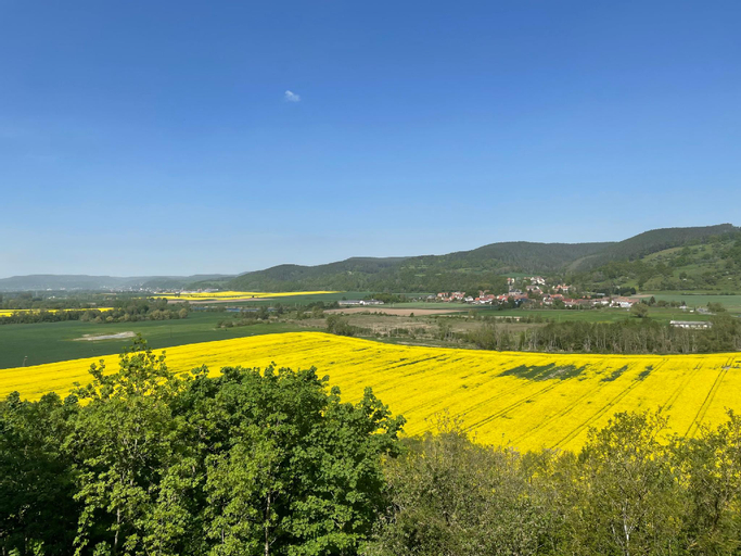 Scenery 22