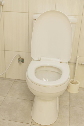 Bathroom 4, Holiday Express Hotel, Kampala