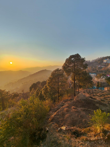 Others 5, LEELA The Flavors of Nature, Solan