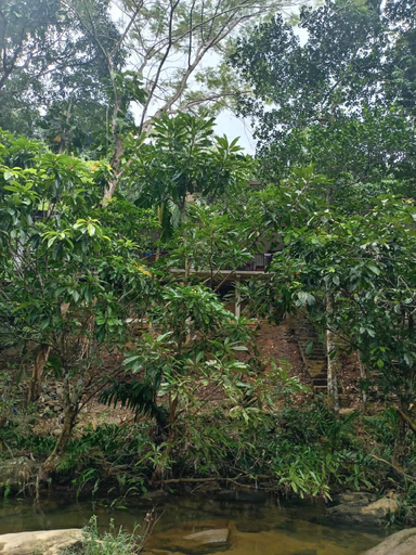 Others 5, Old Bridge Riverside Hotel , Yatiyanthota