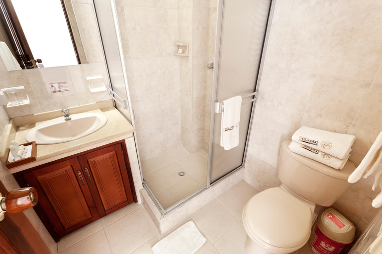 Bathroom 4, Hotel Fernando Plaza, San Juan de Pasto